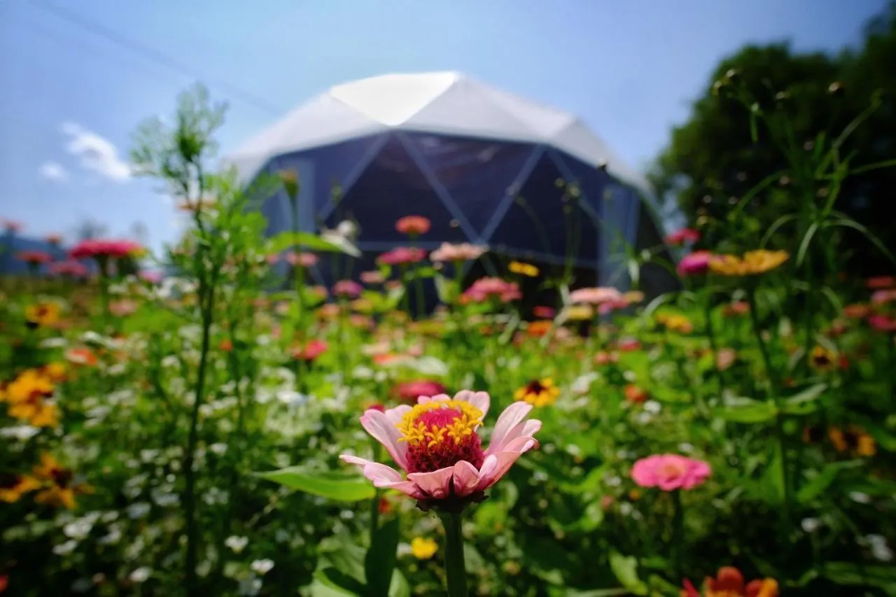 That'S Life Glamping - Dolomite Experience Dorgnan Italy