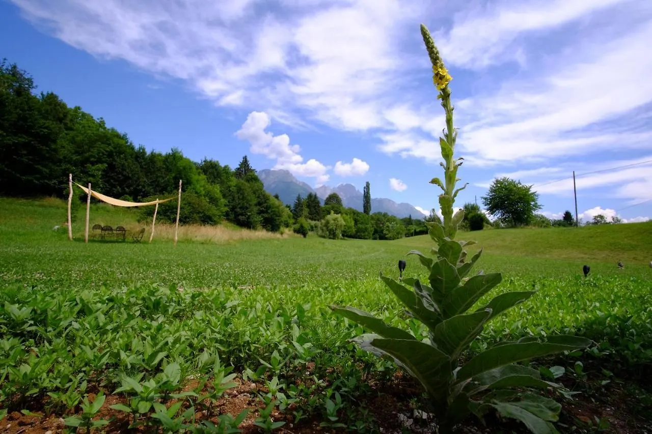 That'S Life Glamping - Dolomite Experience Dorgnan Lüks kamp alanı