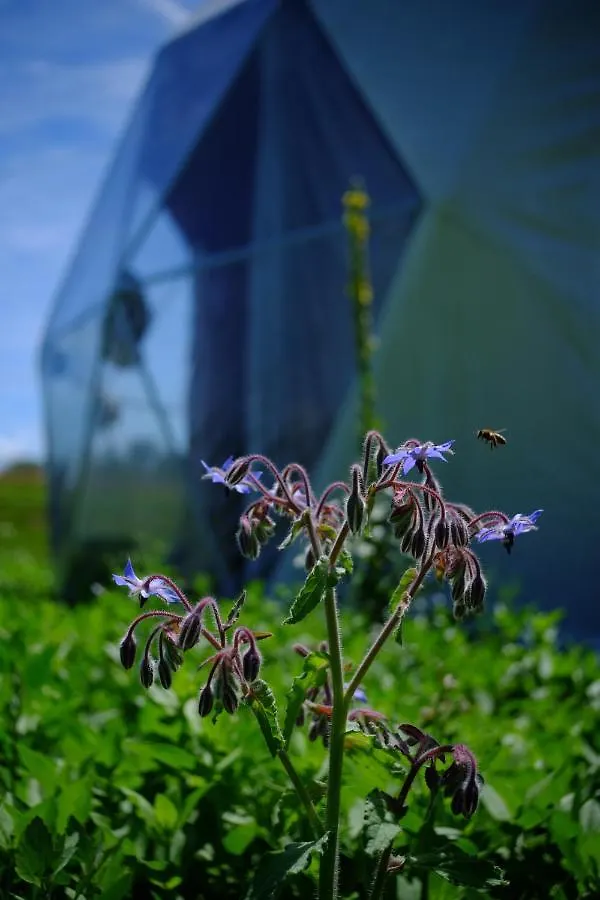 That'S Life Glamping - Dolomite Experience Dorgnan Lüks kamp alanı